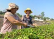 Góp nhặt yêu thương xây nên hạnh phúc