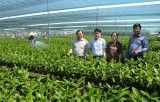 Phước Lý đẩy mạnh phong trào Nông dân thi đua sản xuất, kinh doanh giỏi