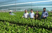 Phước Lý đẩy mạnh phong trào Nông dân thi đua sản xuất, kinh doanh giỏi