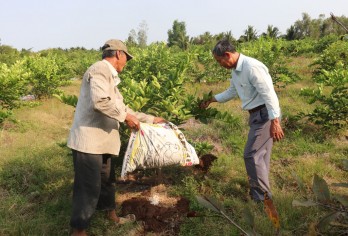 Ben Luc aims for clean agriculture