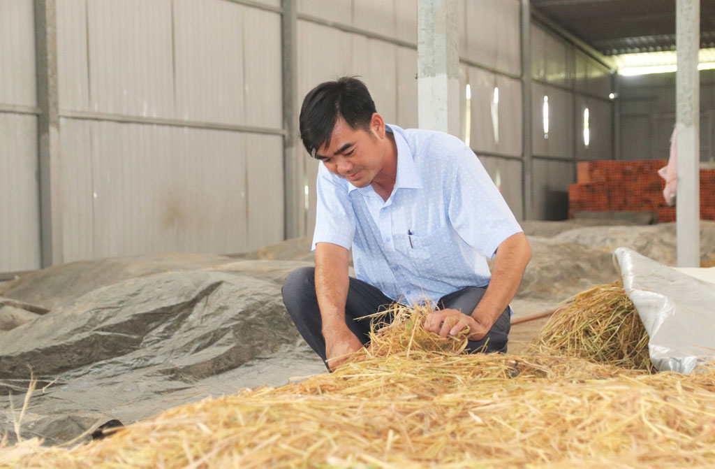 Những thanh niên dám nghĩ, dám làm