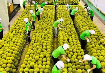 Vietnam works hard to boost exports to Chinese market