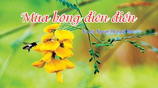 Podcast Truyện ngắn - Tản văn: Mùa bông điên điển Podcast Truyện ngắn - Tản văn: Mùa bông điên điển