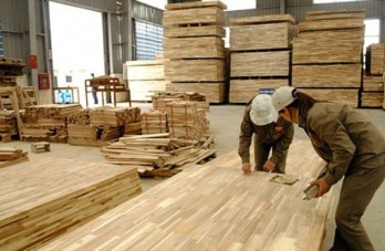 Hoa Kỳ gia hạn điều tra lẩn tránh phòng vệ thương mại với gỗ dán