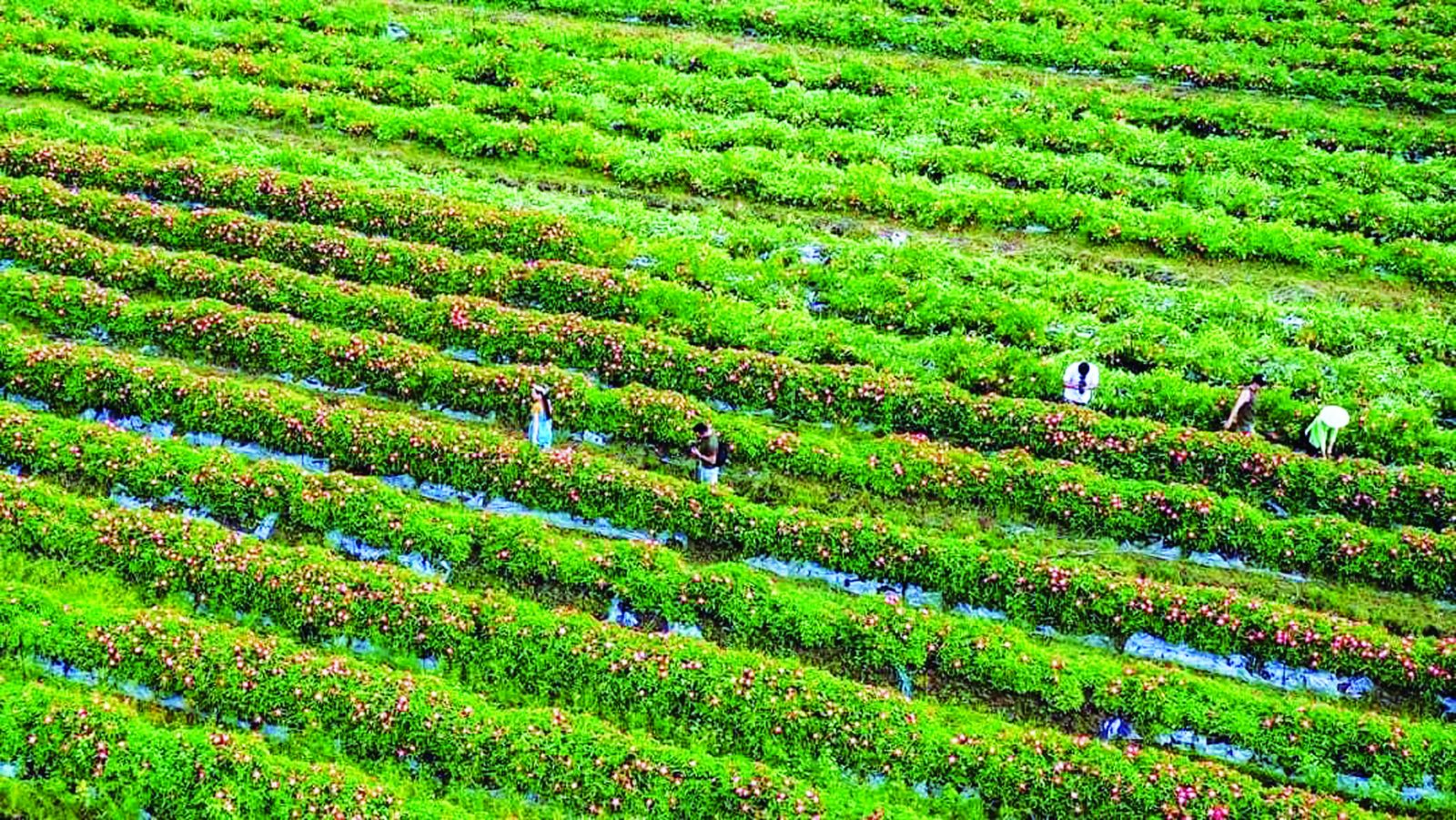 Khi người trẻ bước ra khỏi 'vùng an toàn'