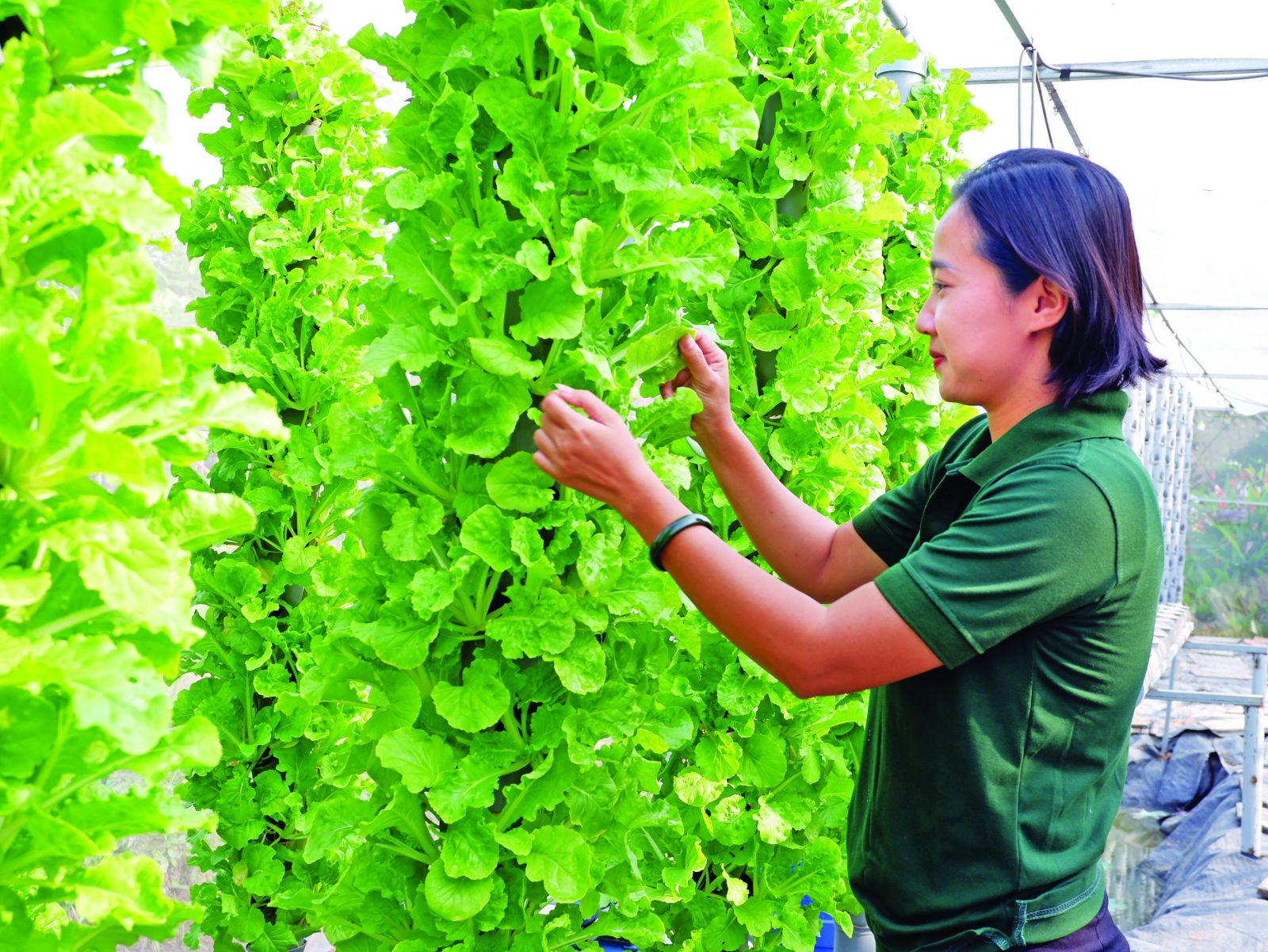 Khi người trẻ bước ra khỏi 'vùng an toàn'
