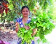 Vượt khó, thoát nghèo bền vững