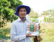 Khởi nghiệp với món cơm cháy chà bông