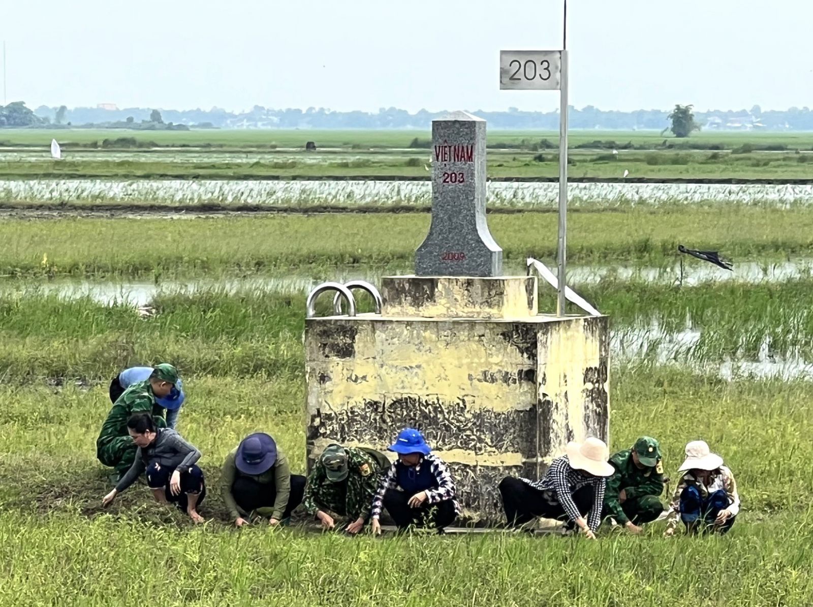 Trở lại cột mốc 203