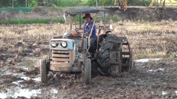 Tân Hưng: Giá phân bón giảm, nông dân phấn khởi chuẩn bị vụ lúa Hè Thu