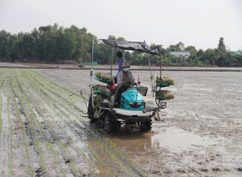 Thạnh Hóa: Định hướng nông dân sản xuất theo nhu cầu của thị trường, đẩy mạnh chương trình nông nghiệp ứng dụng công nghệ cao