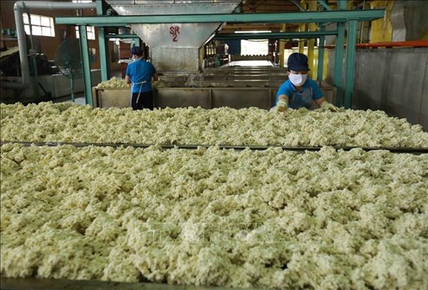 Rubber industry needs better grip on competitiveness in int’l market