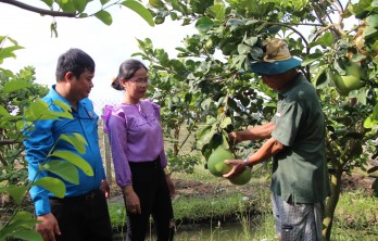 Thủ Thừa: Chuyển đổi cây trồng, nông dân thu lợi nhuận trên 100 triệu đồng/năm
