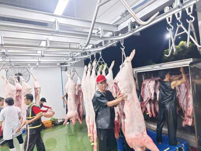 Giá heo hơi hôm nay 22/4/2023: Miền Nam tiếp tục tăng