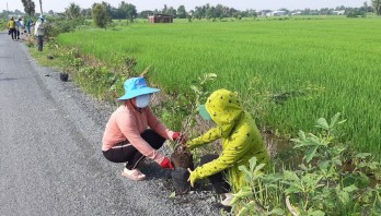 Phụ nữ huyện Thủ Thừa chung tay xây dựng nông thôn mới, đô thị văn minh