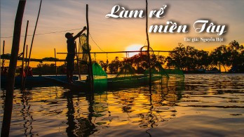 Làm rể miền Tây