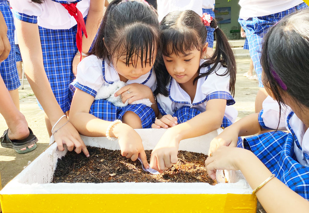 Hình ảnh. Các em học sinh trường tiểu học Tân Đông tham gia hoạt động trồng rau 