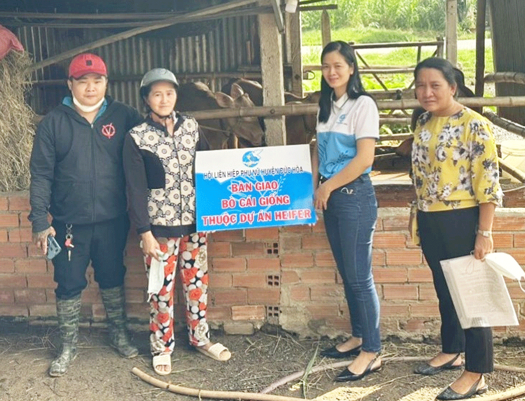 Mỹ Hạnh Bắc 'về đích' nông thôn mới