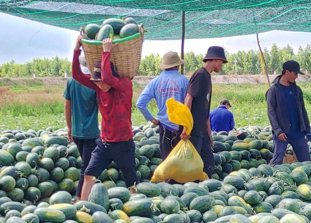 Đổi thay ở xã biên giới Bình Thạnh