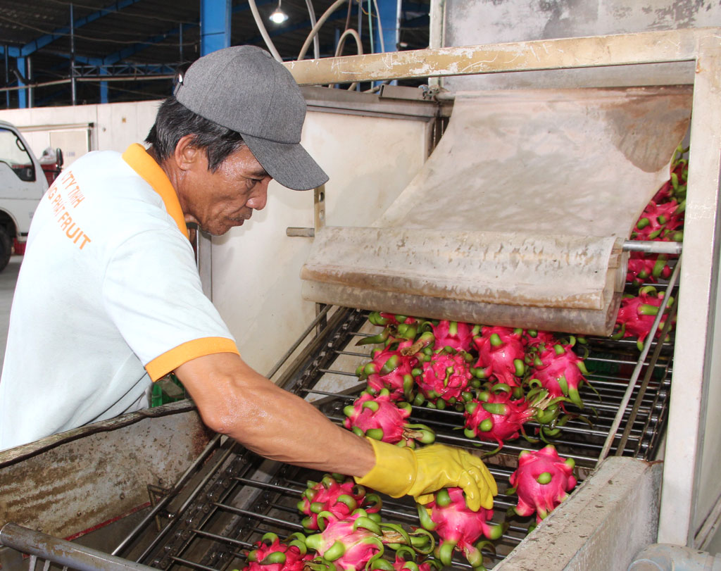 Debottlenecking export market of agricultural products