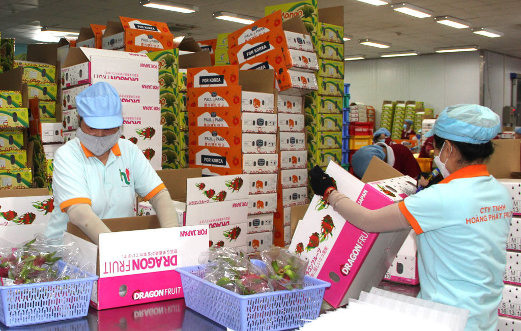 Debottlenecking export market of agricultural products