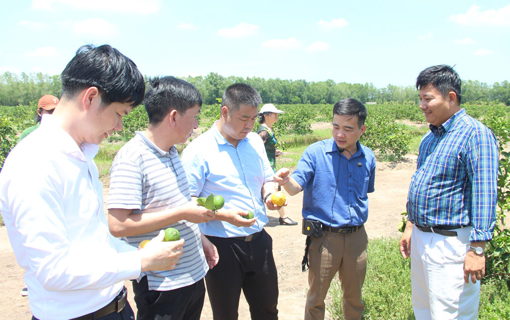 Debottlenecking export market of agricultural products