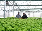 Ứng dụng công nghệ cao để phát triển nông nghiệp bền vững (Bài 1)