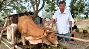 Tân Hưng: Thoát nghèo nhờ nguồn vốn Quỹ Hỗ trợ nông dân