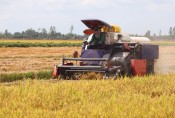 Ứng dụng công nghệ cao để phát triển nông nghiệp bền vững (Bài 2)