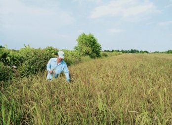 Tân Thạnh có 5 sản phẩm OCOP 3 sao Tân Thạnh có 5 sản phẩm OCOP 3 sao