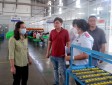 Thanh tra việc chấp hành pháp luật lao động