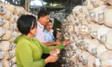 Cần Giuộc: Ổn định cuộc sống nhờ vốn tín dụng chính sách