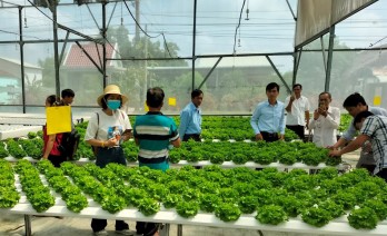 Nâng cao hiệu quả kinh tế tập thể trong giai đoạn mới