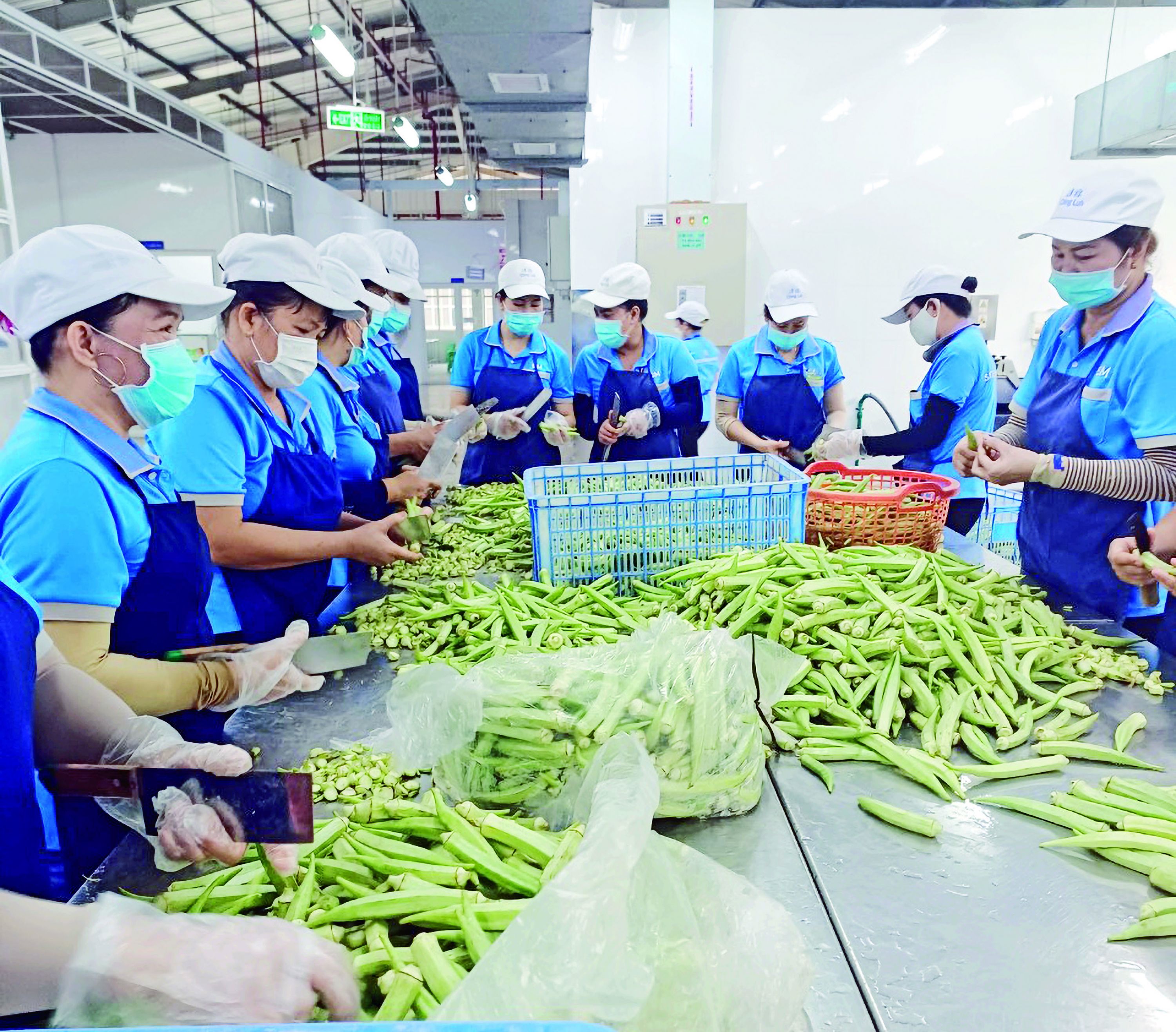 Ấm lòng bữa cơm công nhân