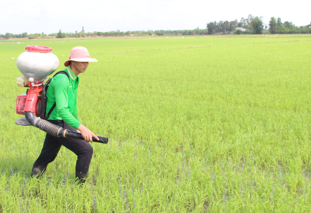 Chủ động phòng bệnh trên cây trồng, vật nuôi