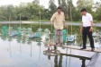 Chủ động phòng bệnh trên cây trồng, vật nuôi