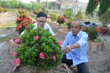 Đổi thay ở xã Long An
