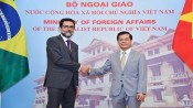 Tăng cường hơn nữa hợp tác song phương giữa Việt Nam và Brazil