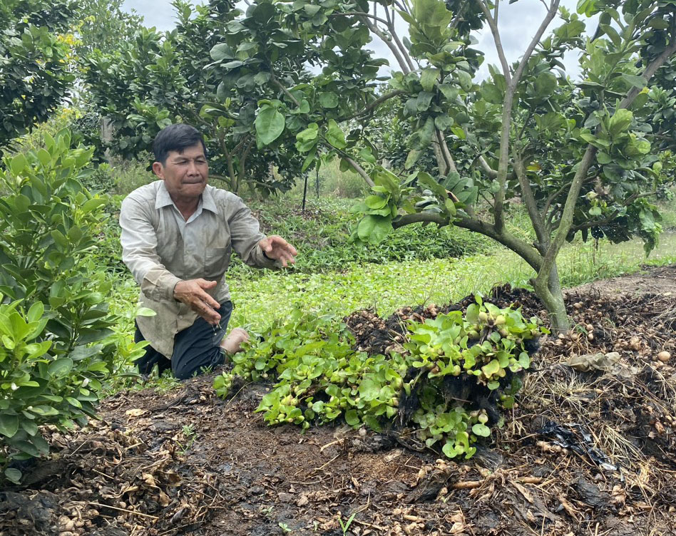 Sân chơi hữu ích cho nhà nông