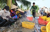 Miền Tây lo trước để né hạn mặn
