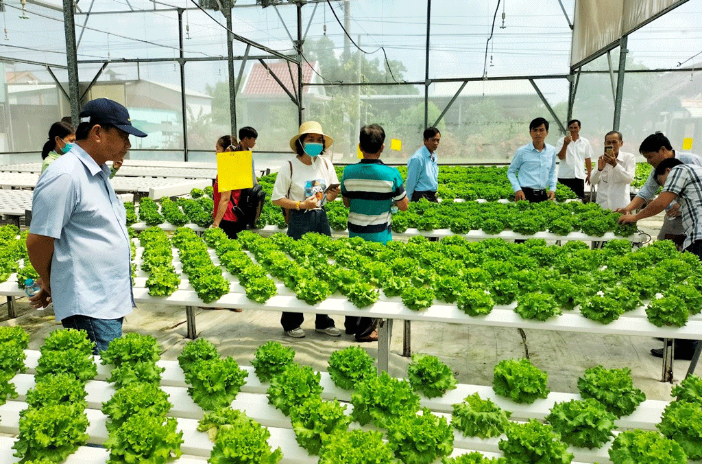 Quyết tâm đạt huyện nông thôn mới