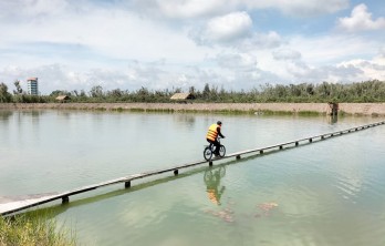 Mùa hè, cho con du lịch ở đâu?
