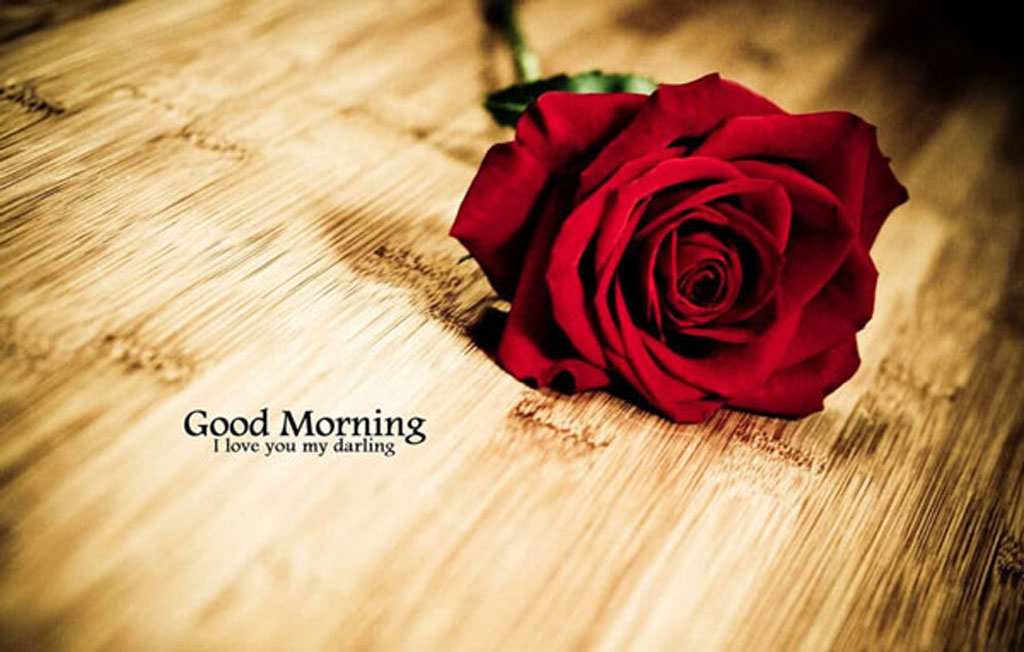 Lời chúc ngày mới cho một nửa yêu thương