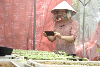 Mạng xã hội - Công cụ hỗ trợ kinh doanh hiệu quả