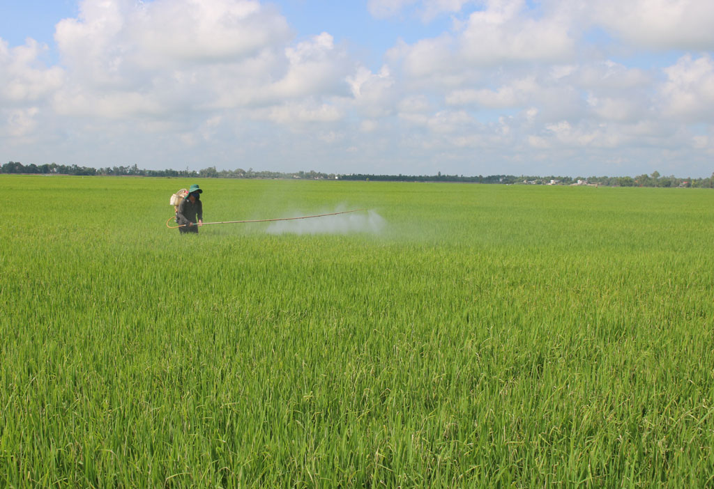 Tập trung thực hiện các chỉ tiêu Nghị quyết năm 2023