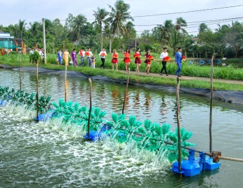 Góc ảnh 'Long An quê hương tôi': Đi tới hạnh phúc