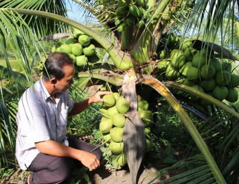 Phong trào Nông dân thi đua sản xuất, kinh doanh giỏi mang lại hiệu quả thiết thực Phong trào Nông dân thi đua sản xuất, kinh doanh giỏi mang lại hiệu quả thiết thực