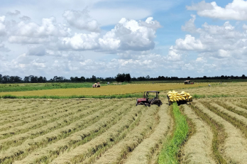 Huy động sức mạnh toàn dân xây dựng địa phương Huy động sức mạnh toàn dân xây dựng địa phương