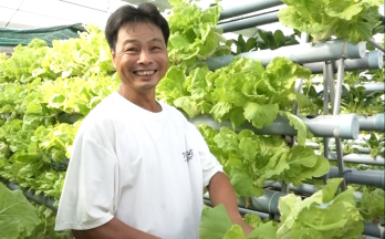 Kiến Tường phát triển kinh tế nhờ trồng rau thủy canh Kiến Tường phát triển kinh tế nhờ trồng rau thủy canh