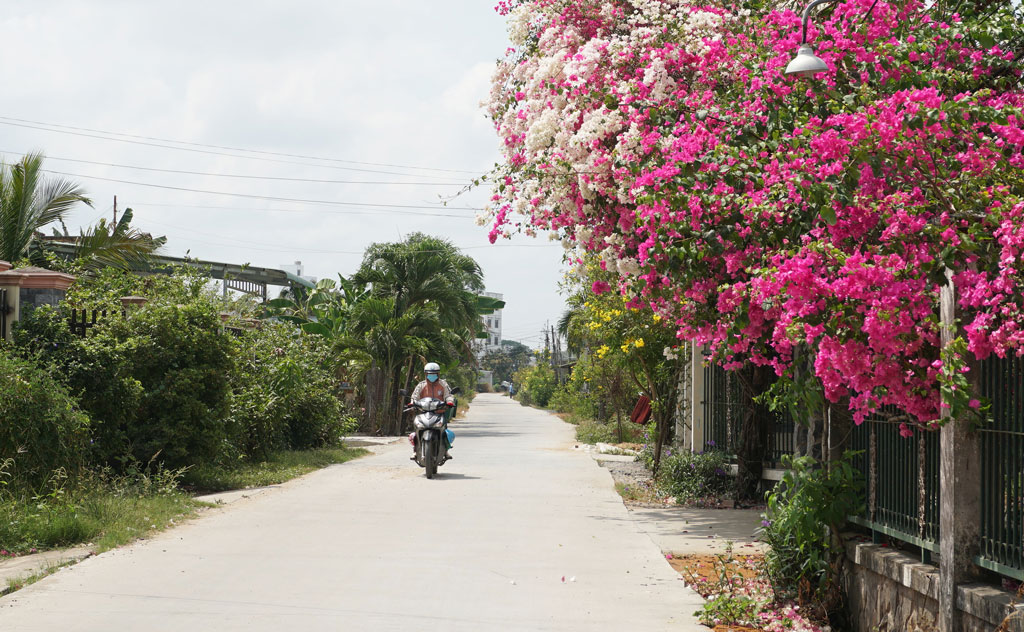 Nỗ lực thực hiện các giải pháp hoàn thành chỉ tiêu năm 2023